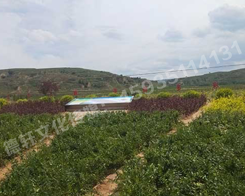 壽陽——園林規劃地臺